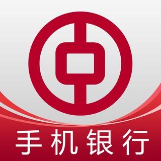 中国银行模拟器免费版手机版缩略图