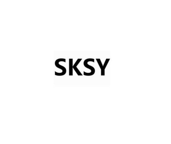 sks连点器游戏截图