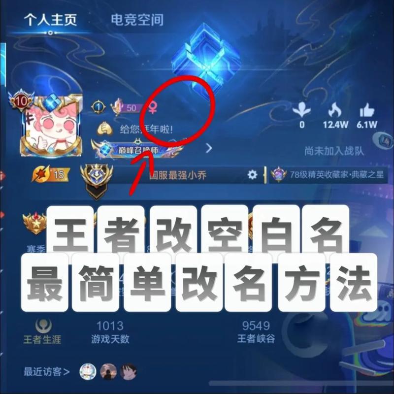 王者荣耀空白名网站给力版