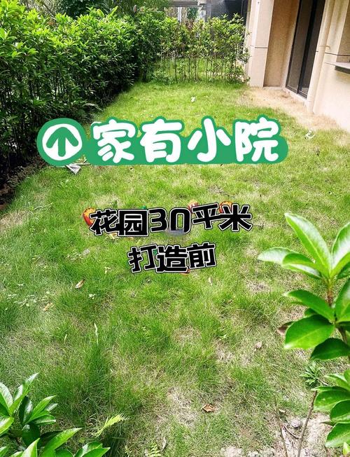 家有小院