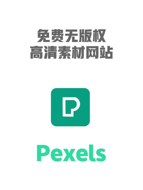 pexels素材网官网入口游戏截图