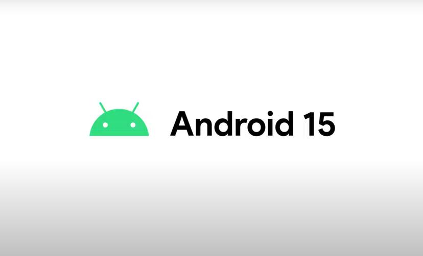 Android15安装包电子版缩略图