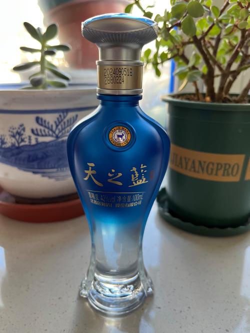 天之蓝pro直装vip游戏截图