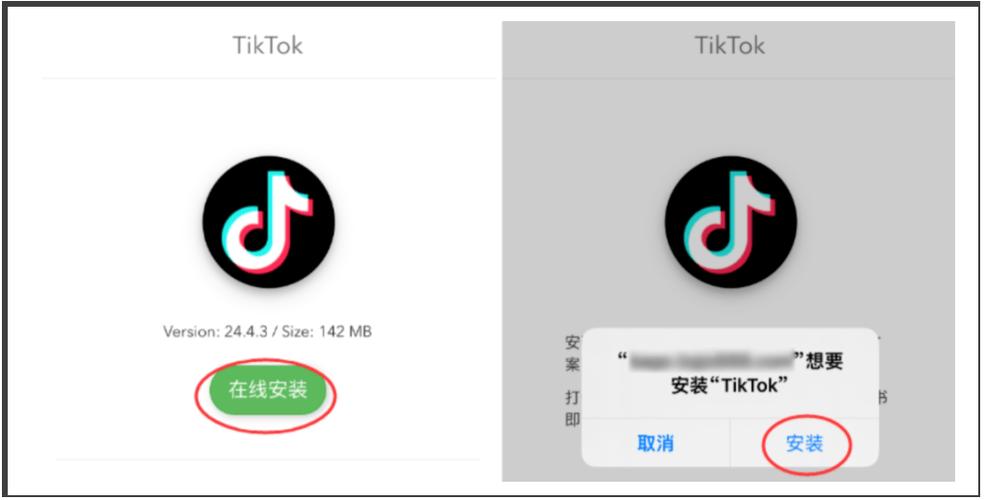 tiktok修改版安装包