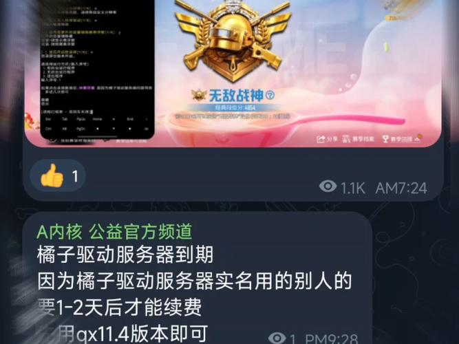 和平精英内核辅助使用方法视频游戏截图