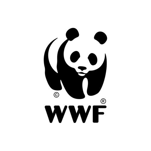 川梦框架游戏截图