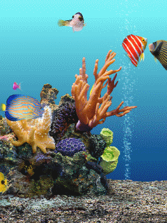 3d海底世界动态屏保最新版本更新内容
