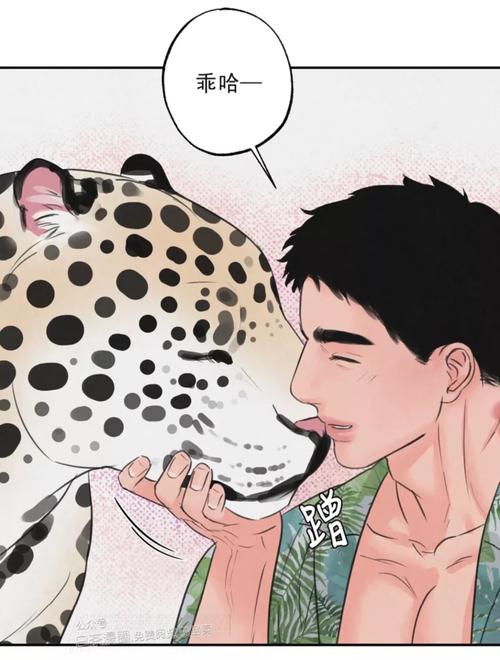 韩漫狩猎游戏丛林游戏
