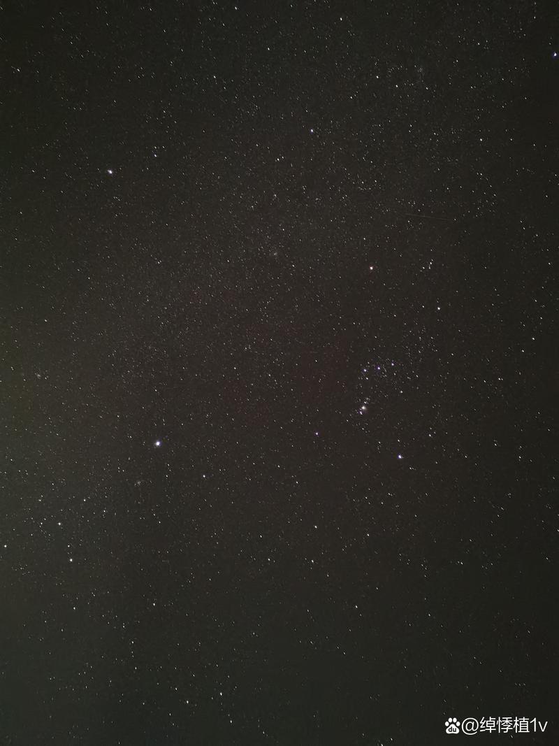 退魔师绫乃繁星汉化版黑色老版游戏截图