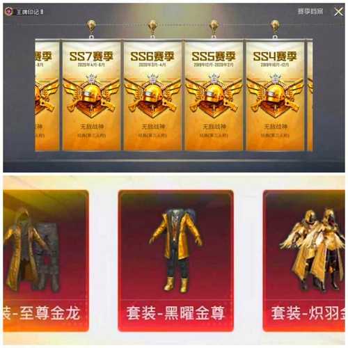 至尊金龙风衣美化包