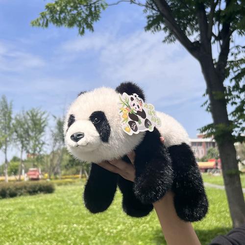 panda activate熊猫映射激活永久免费缩略图