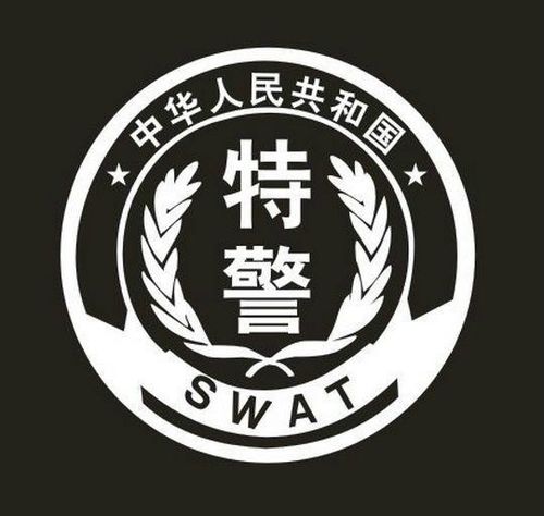 中国公安特警模拟器