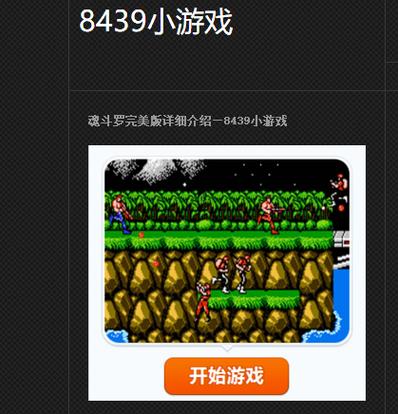 8439小游戏