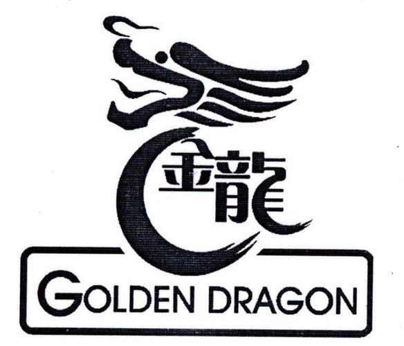 金龙公益直装安装免广告游戏截图