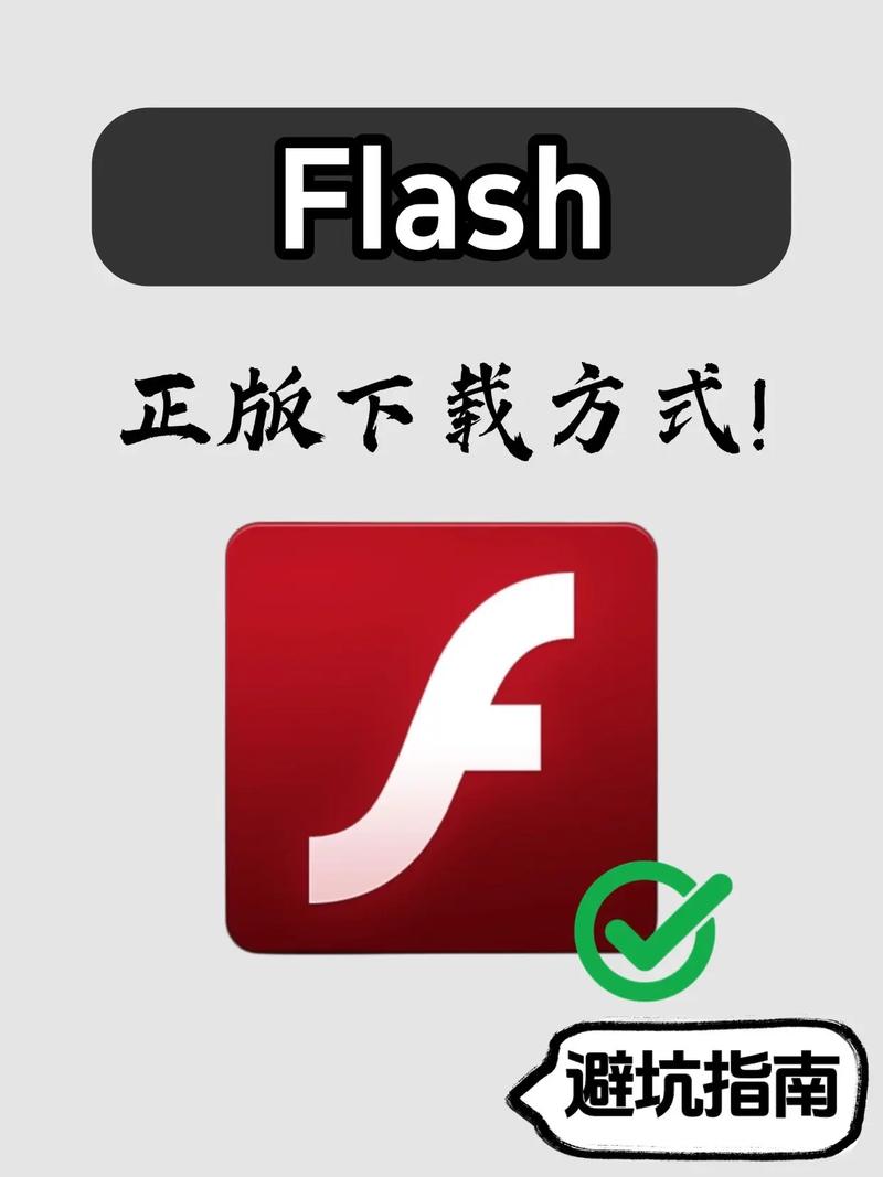 flash游戏模拟器2024最新版使用方法