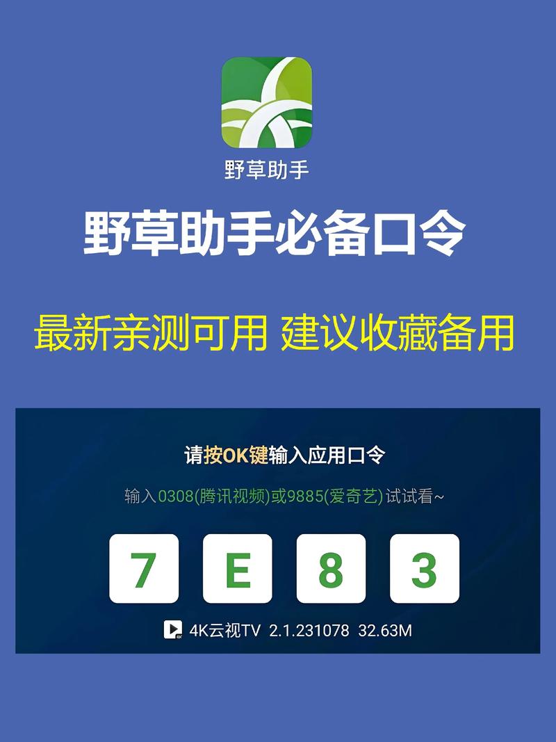 野草助手2025港澳台口令无限能量游戏截图