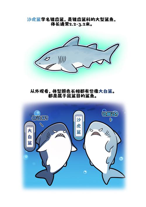 虎鲨资源库APP手机官方版