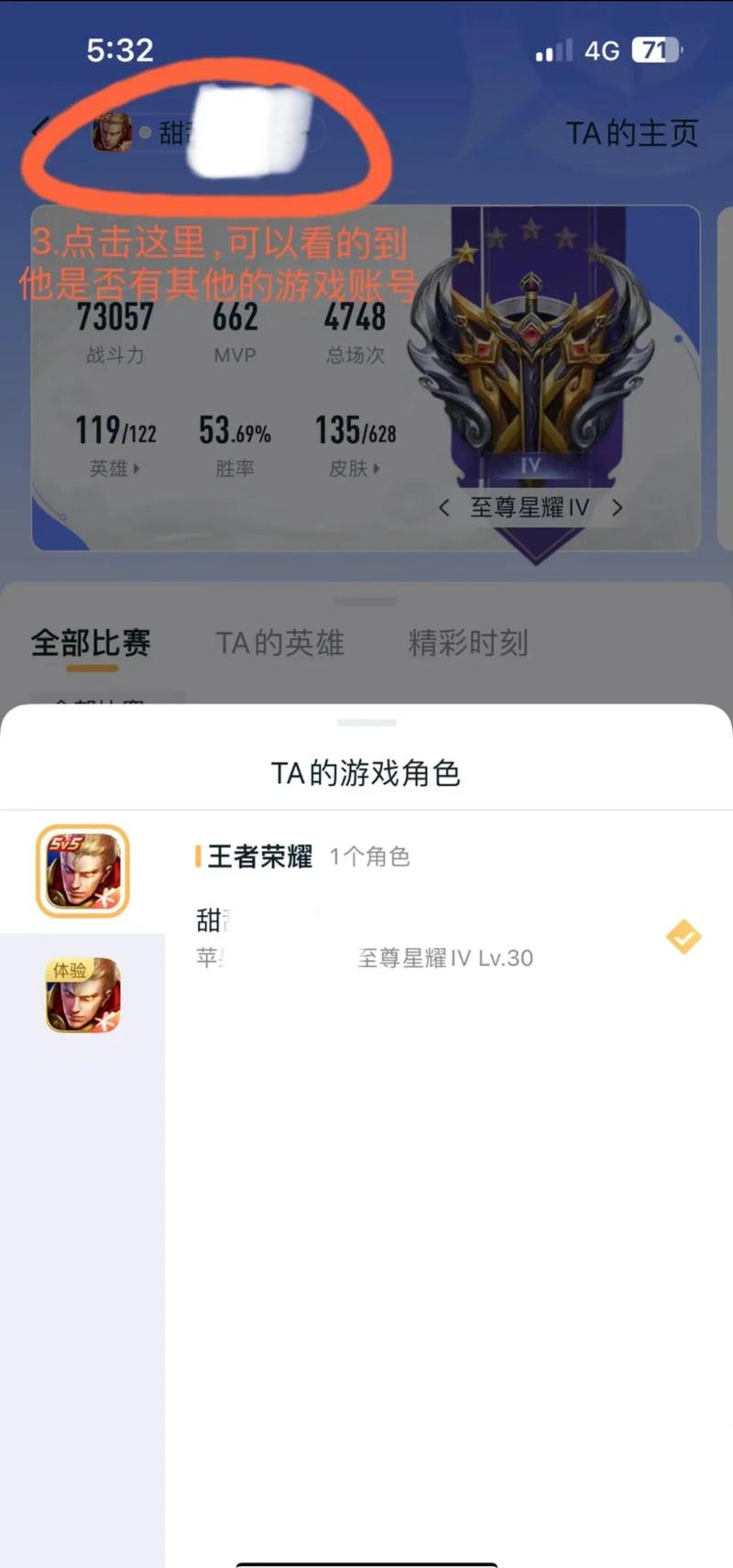 王者荣耀隐藏战绩查询器