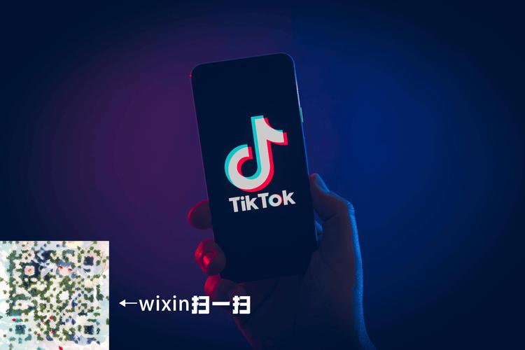 tiktok修改版安装包游戏截图