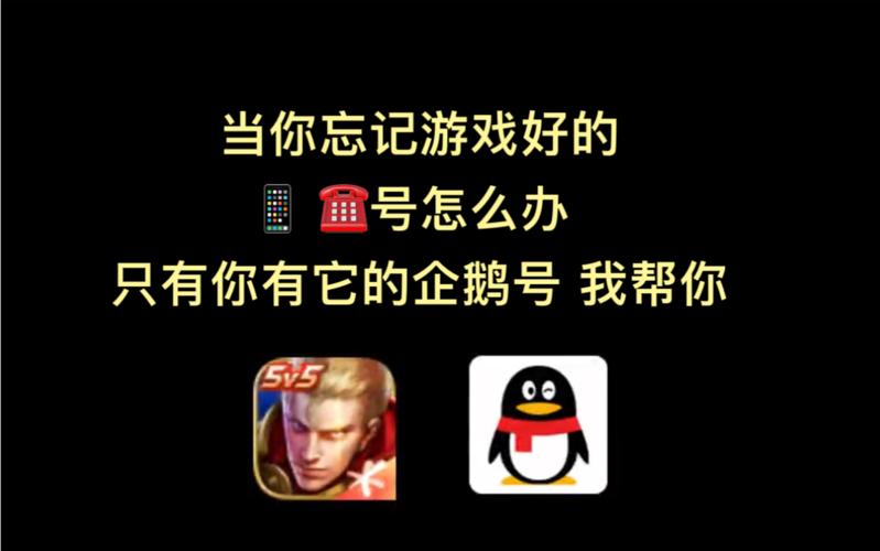 王者荣耀隐藏战绩查看器黑色免费最新版