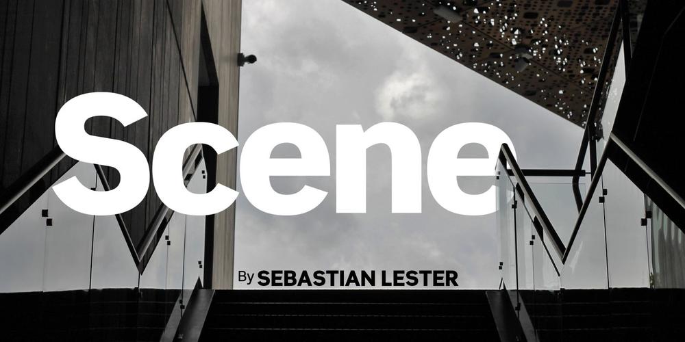 scene官方正版官网游戏截图