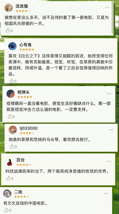 白云影评