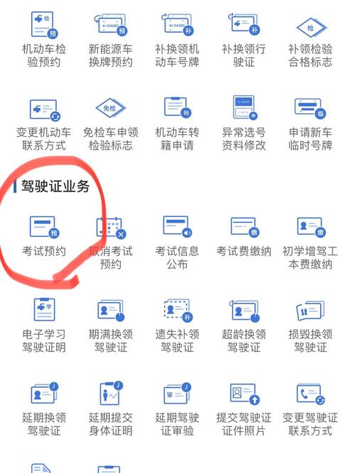 我的驾照查询免费观看