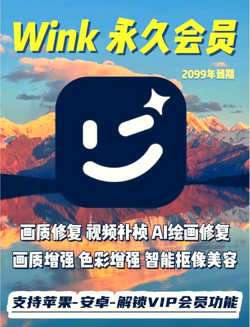 wink解锁版会员2099到期
