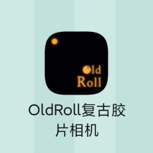 oldroll相机破解版无广告纯净版游戏截图