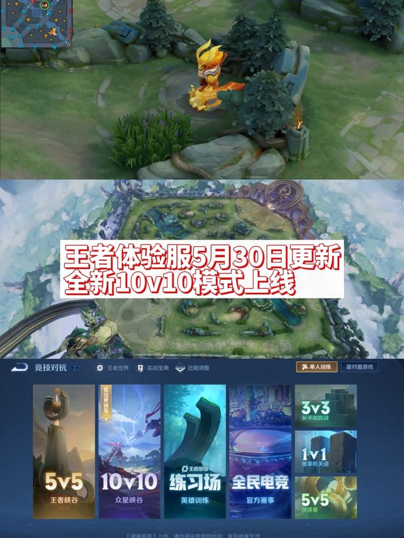 王者体验服科技外挂去广告安卓版