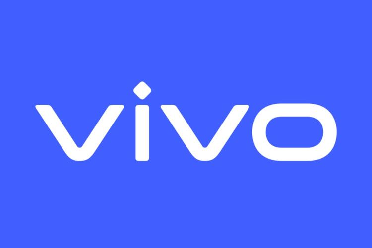 vivo破解版免费视频电视版