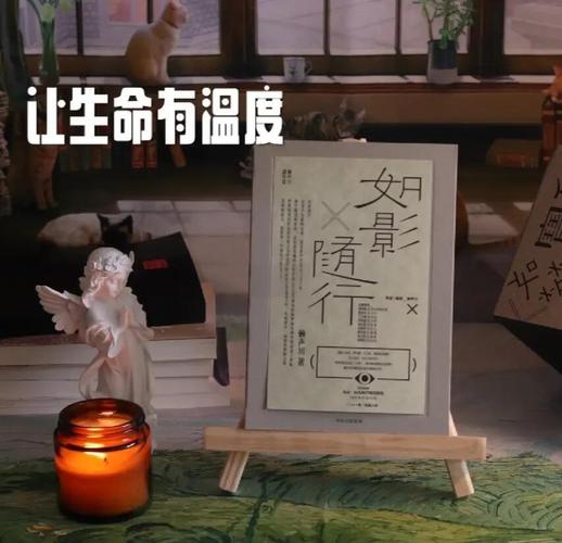 如影随行电视剧