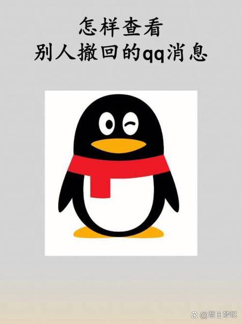 qq防撤回破解版去广告破解版升级