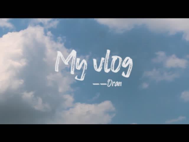 雏鸟vlogpro防走失游戏截图