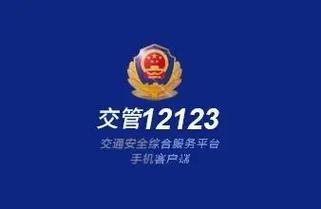 交管12123三力测试游戏截图