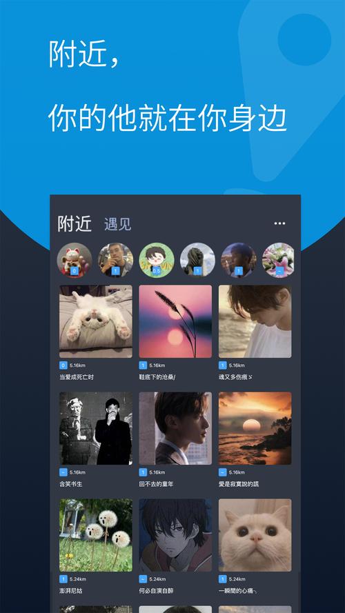 酷同交友