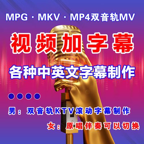 双音轨mkv格式歌曲MV游戏截图