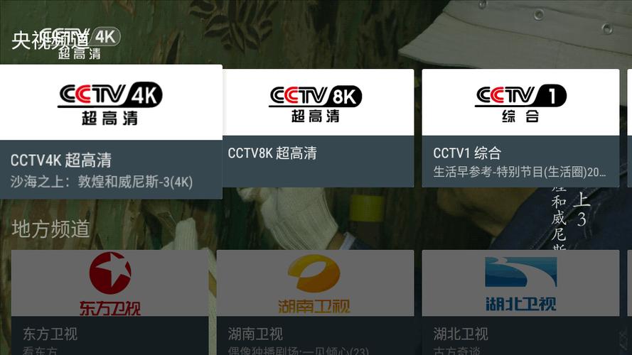 我的电视tv版