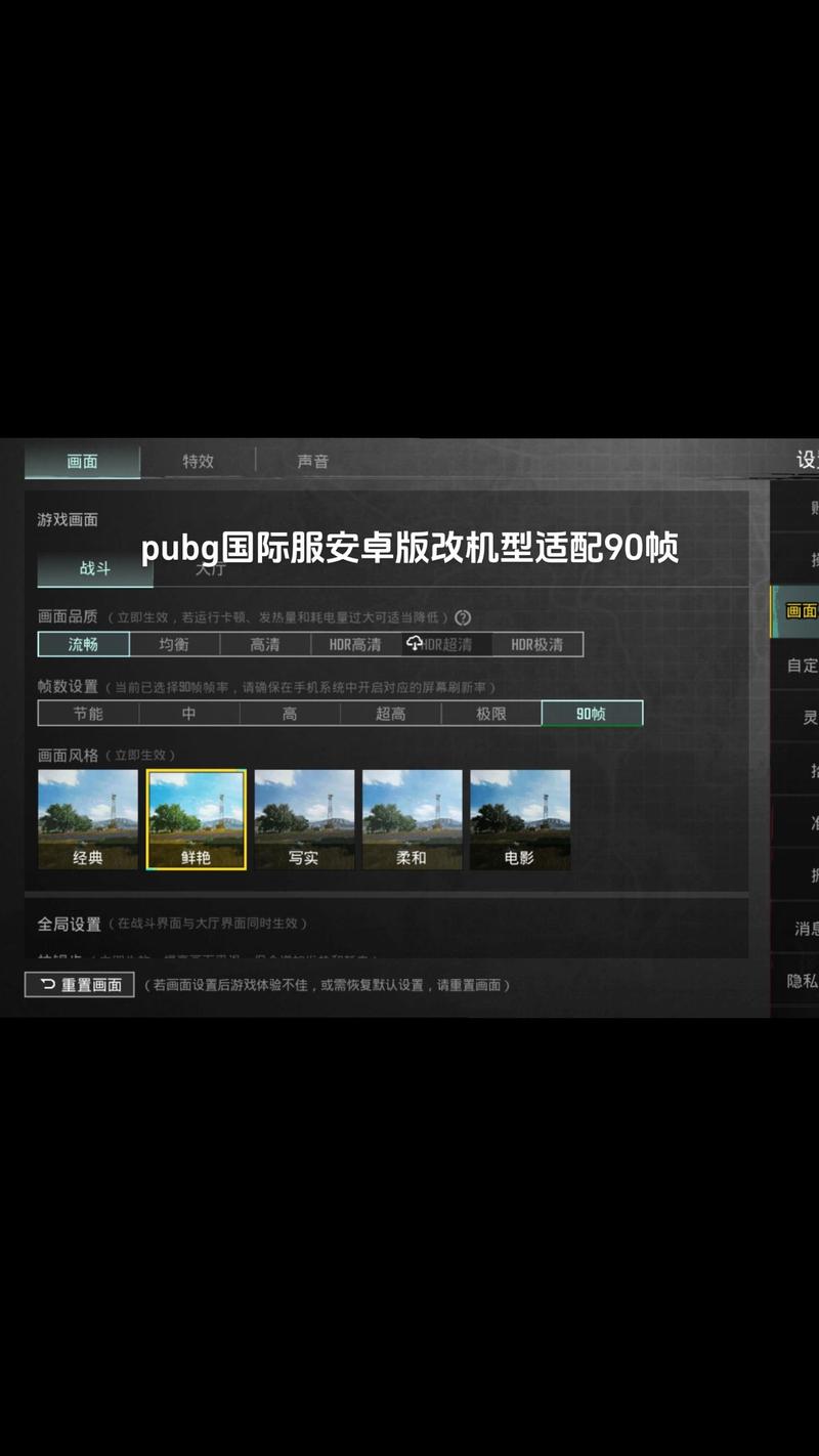 pubg国际服修改90帧看书版游戏截图
