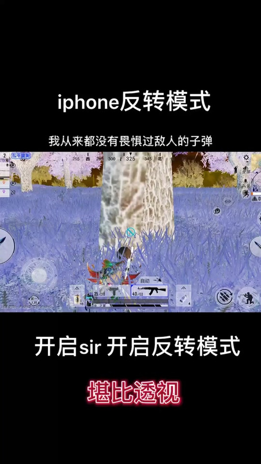 吃鸡颜色反转辅助