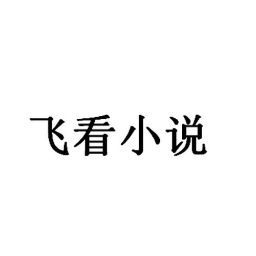 飞看小说游戏截图
