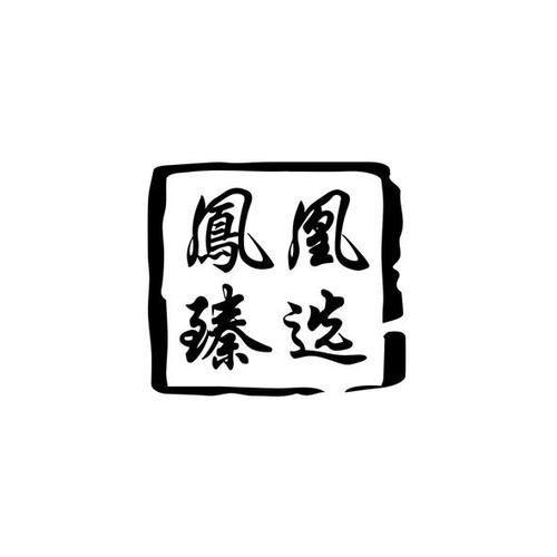 凤凰潮臻选下载正版缩略图