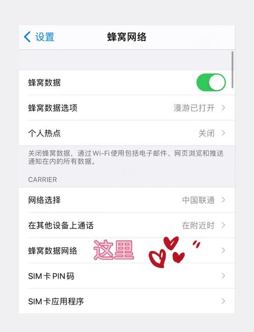 流量卡在苹果手机上怎么开热点游戏截图
