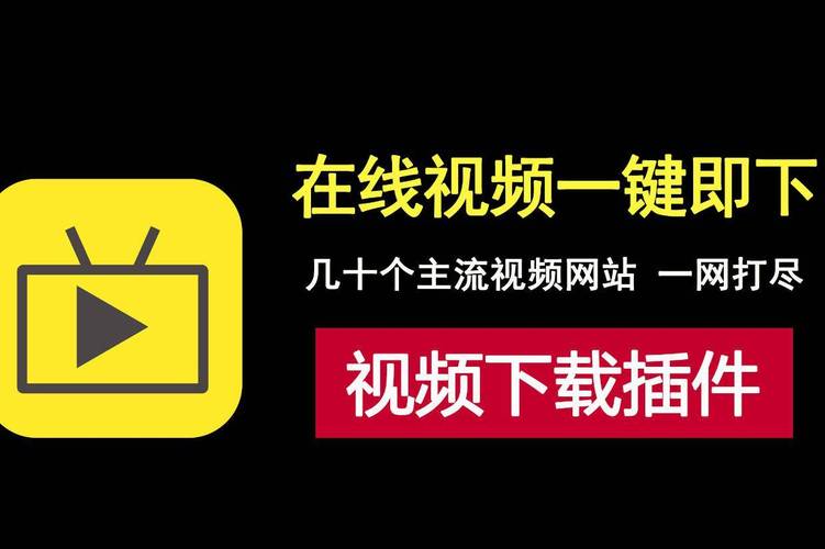 24小时视频在线观看免费观看下载