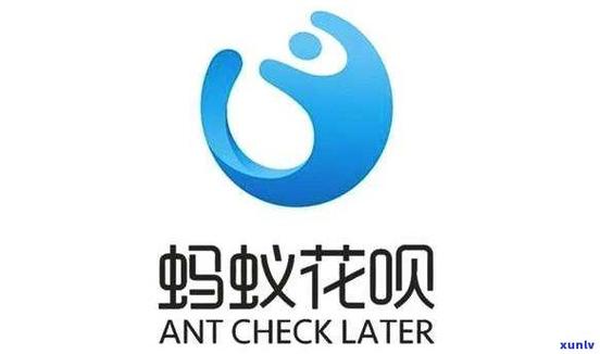 花呗破解版无需登录游戏截图