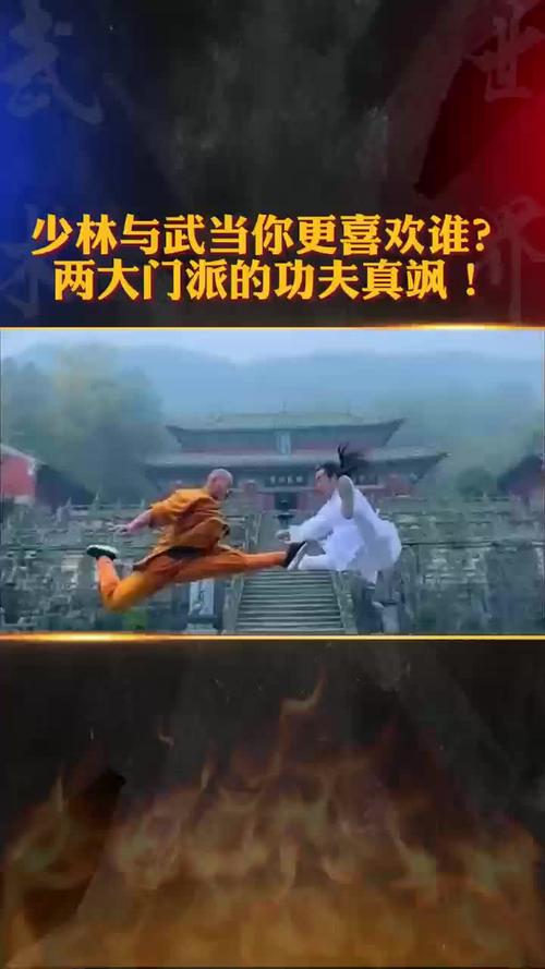 少林vs武当2手机版缩略图