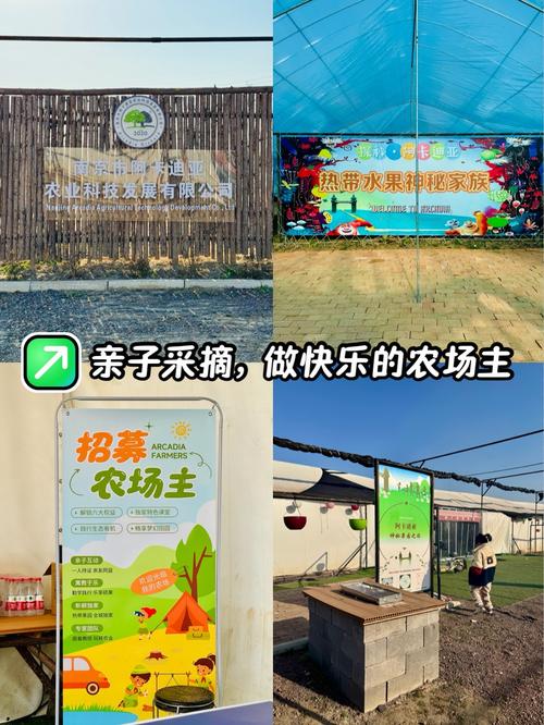 采摘乐园赚钱版