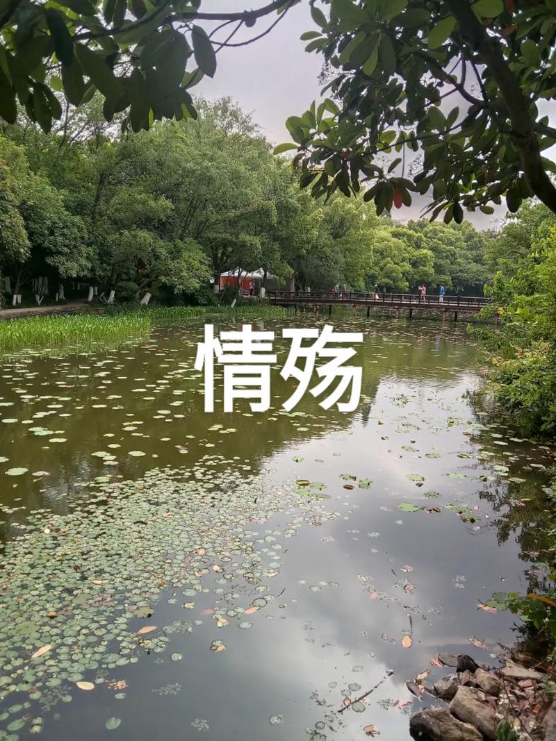 真实情殇最新版下载手机版游戏截图