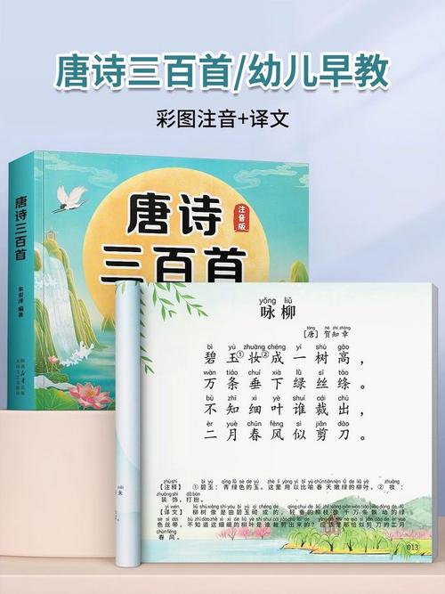 唐诗三百首视频