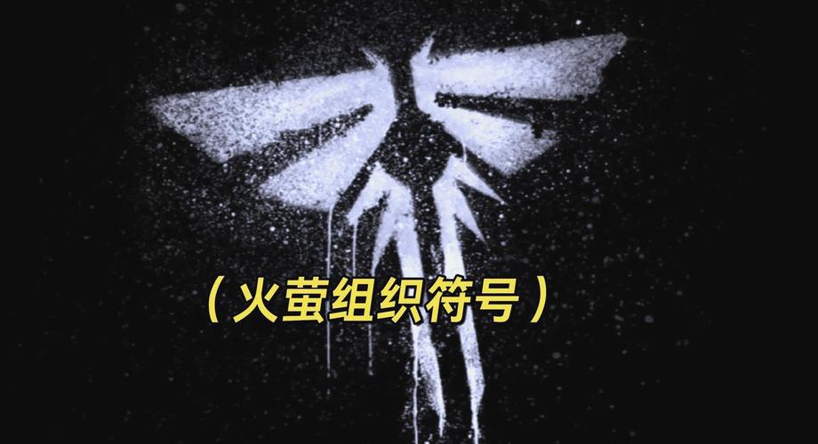 火萤组织攻略图文游戏截图
